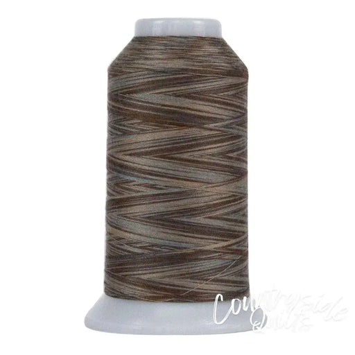 9020 Coyote Omni Variegated Polyester Thread OMNIV-9020