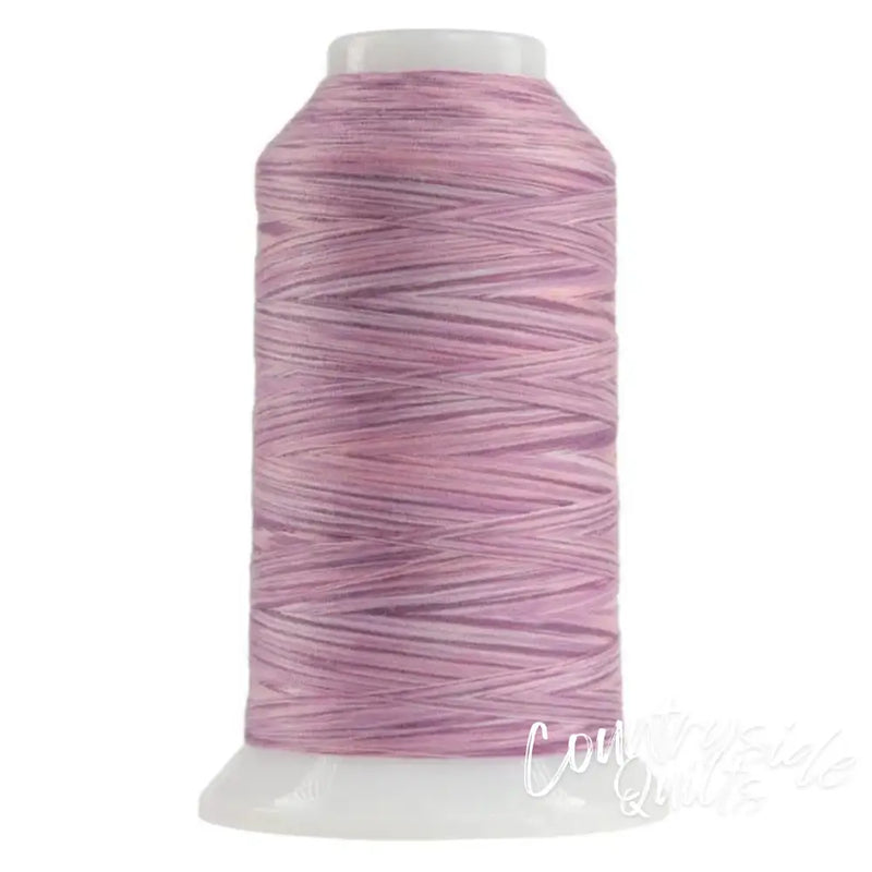 9030 Raspberry Parfait Omni-V | Variegated Polyester Thread