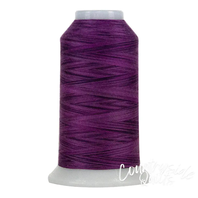 9039 Rhododendron Omni Variegated Polyester Thread