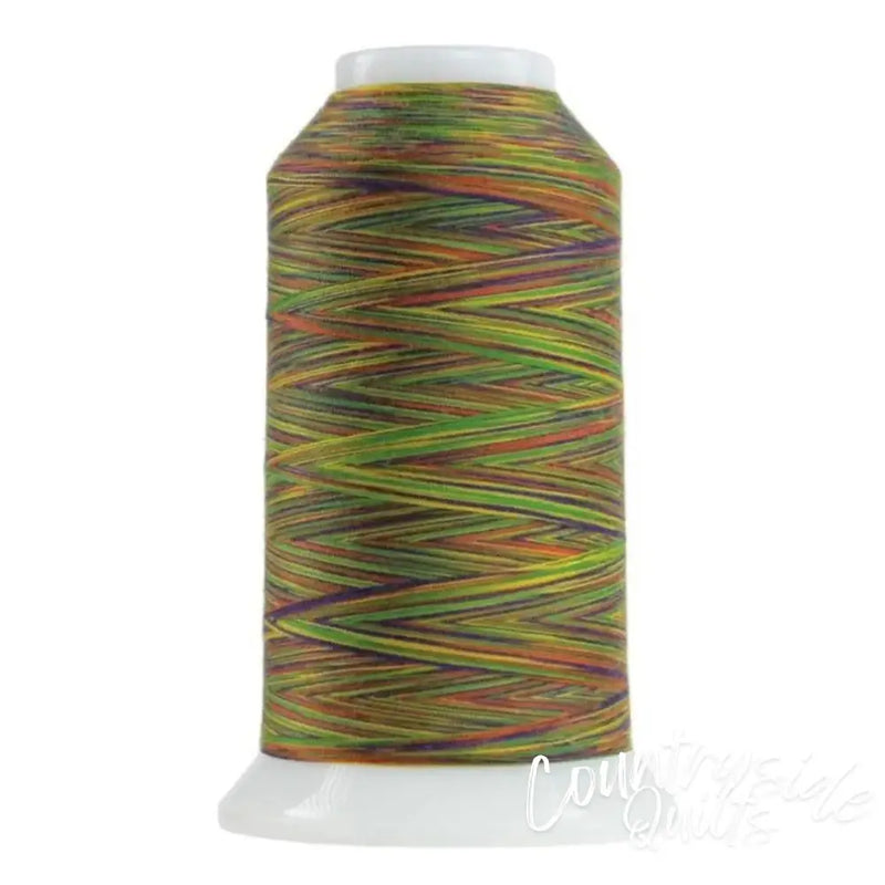 9044 Zumba Omni Variegated Polyester Thread