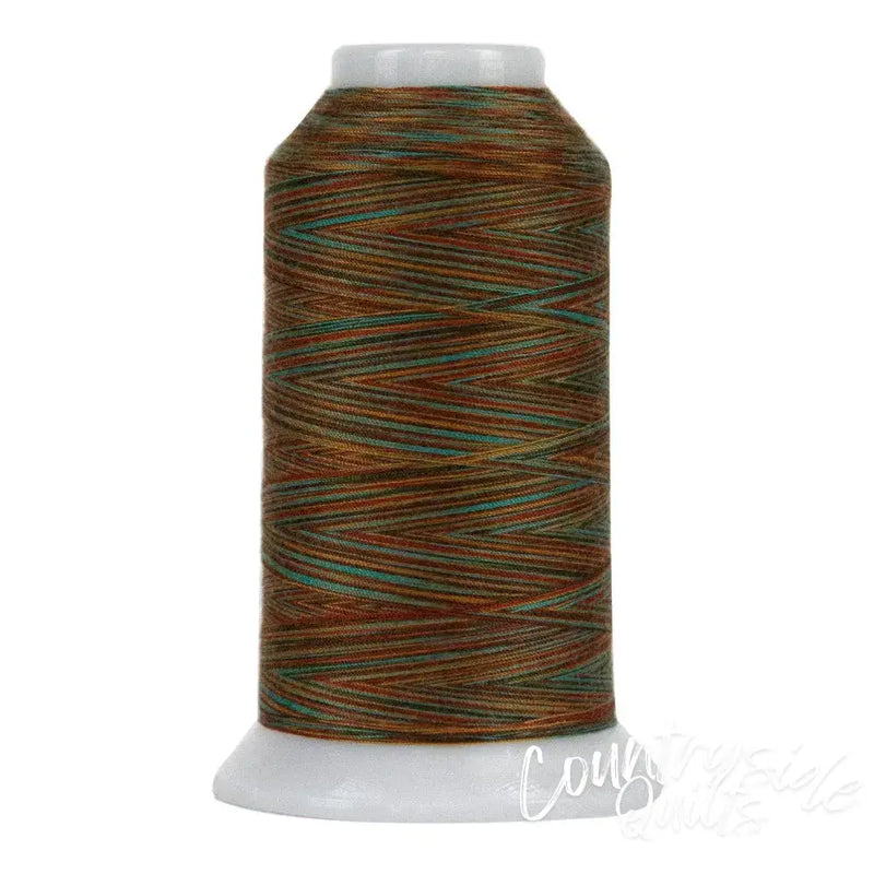 9051 Santa Fe Trail Omni Variegated Polyester Thread