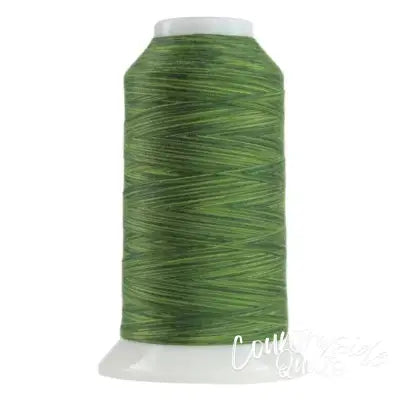9054 Verdant Omni Variegated Polyester Thread