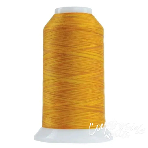9086 Zenith Omni Variegated Polyester Thread OMNIV-9086