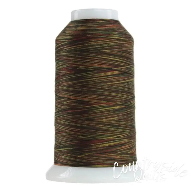 9145 Nebuchadnezzar Omni Variegated Polyester Thread
