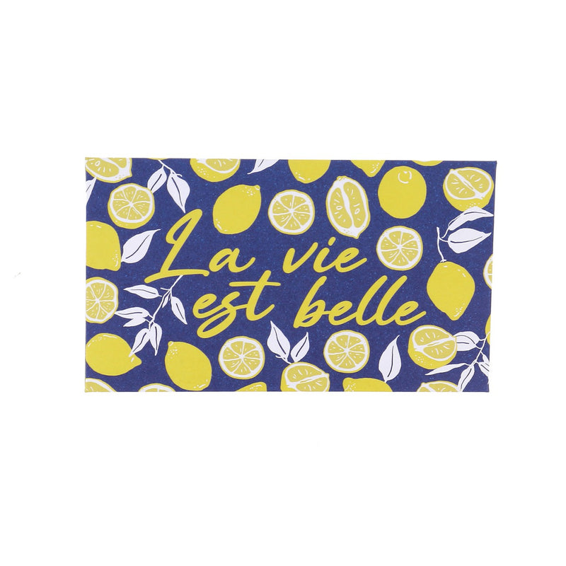 Sewing Needle Book Dolce Vita La Vie Est Belle 40pk