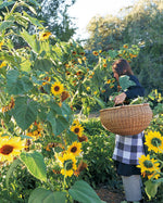 Farm & Folk Quilt Alchemy