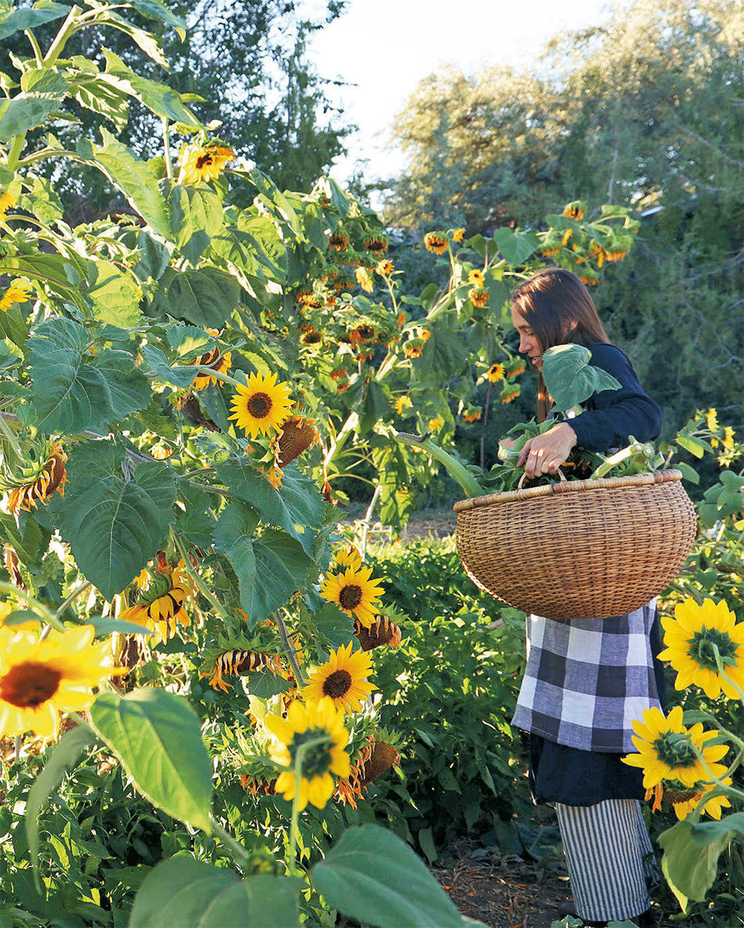 Farm & Folk Quilt Alchemy