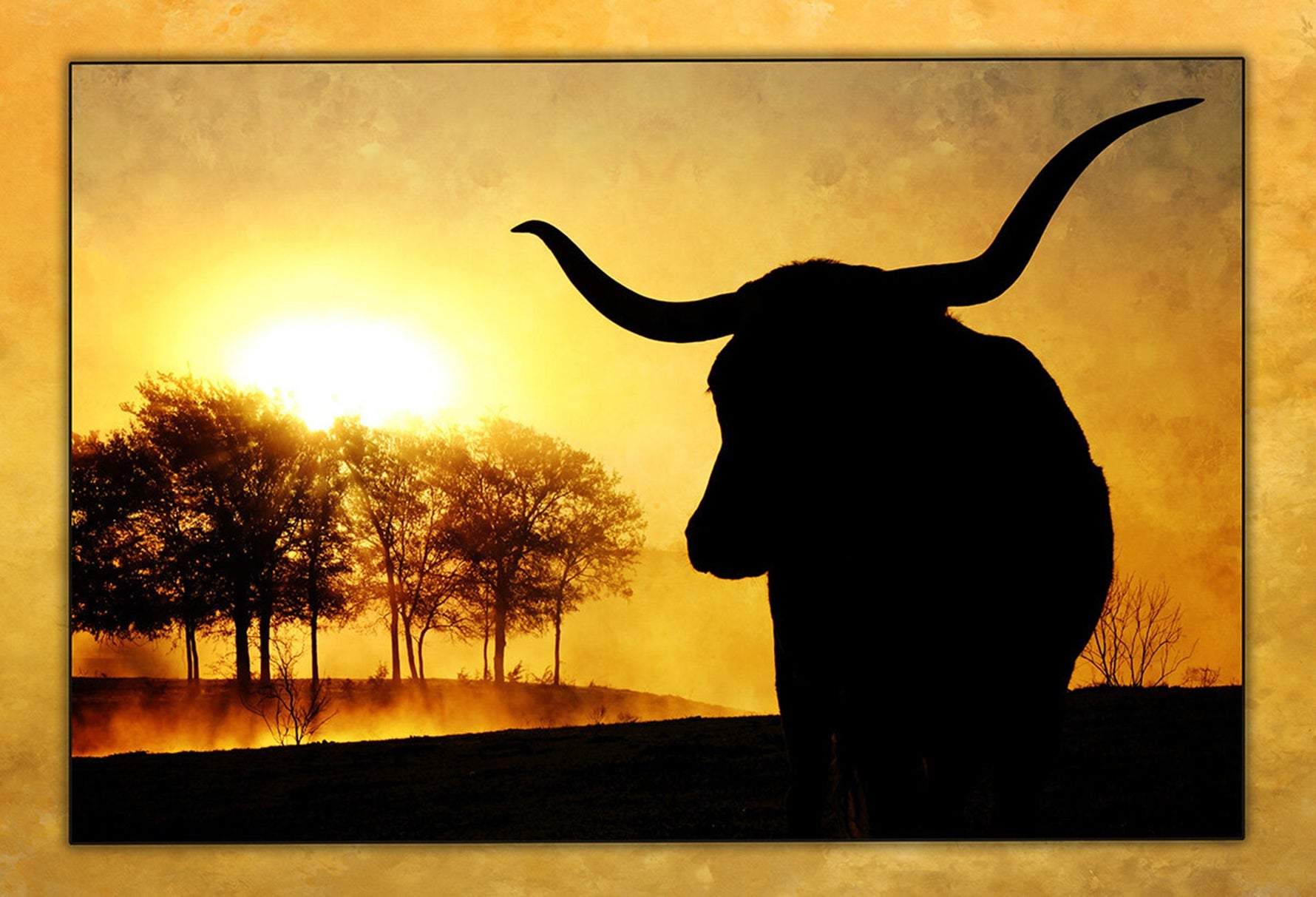 Longhorn Sunset 22in x 15in