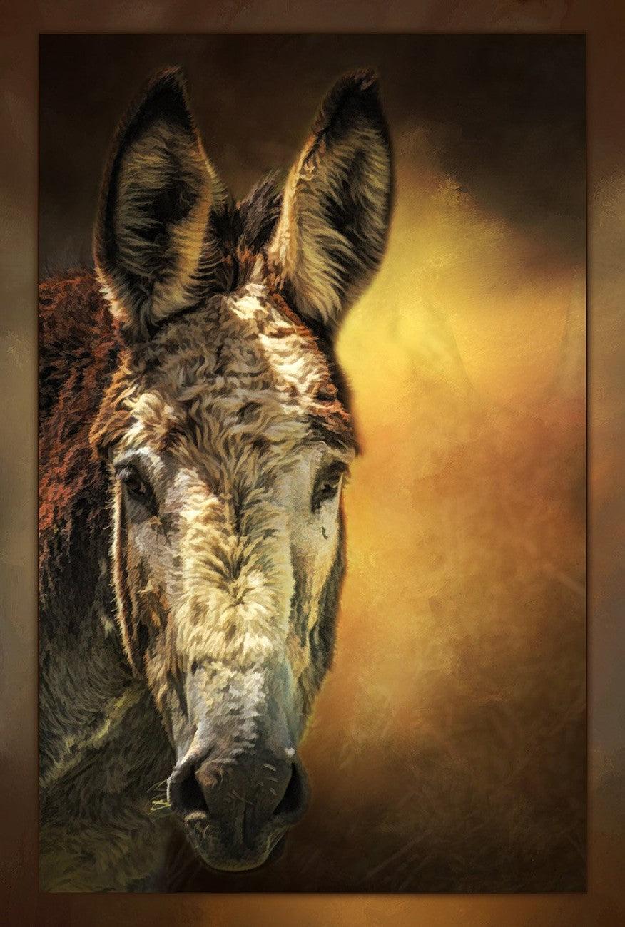 Lonely Donkey 16in x 24in
