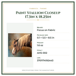 Product Specifications – Paint Stallion Closeup 17.3in x 18.25in