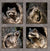 Four Baby Raccoons 16.375x17.25in Panel