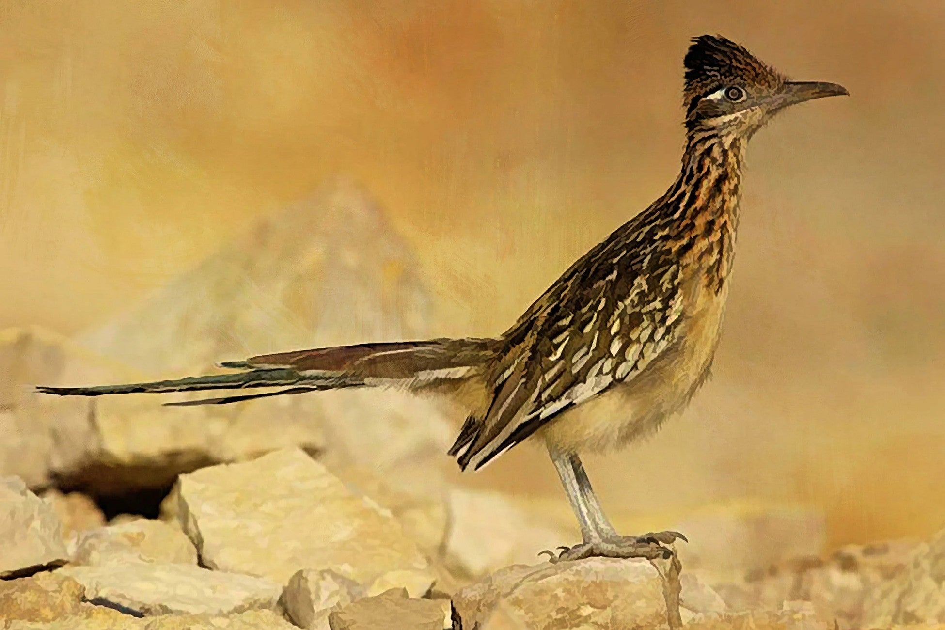 Eastbound Roadrunner Panel 18in x 12in