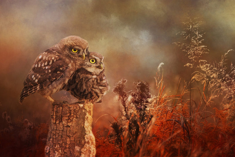 Pair of Cuties 20.5x13.75in Panel