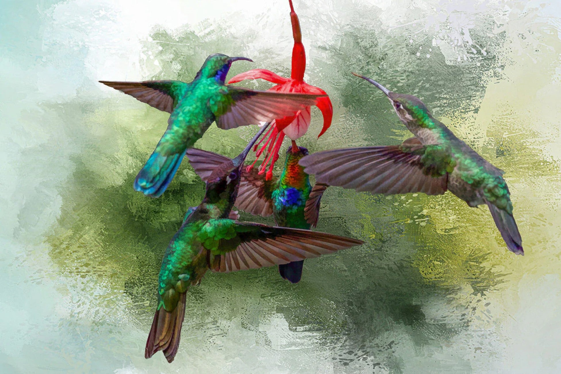 Hummingbird Family Panel 24in x 16in