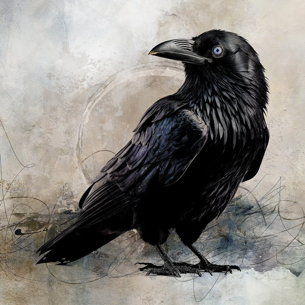 The Raven Panel 20.5in x 20.5in
