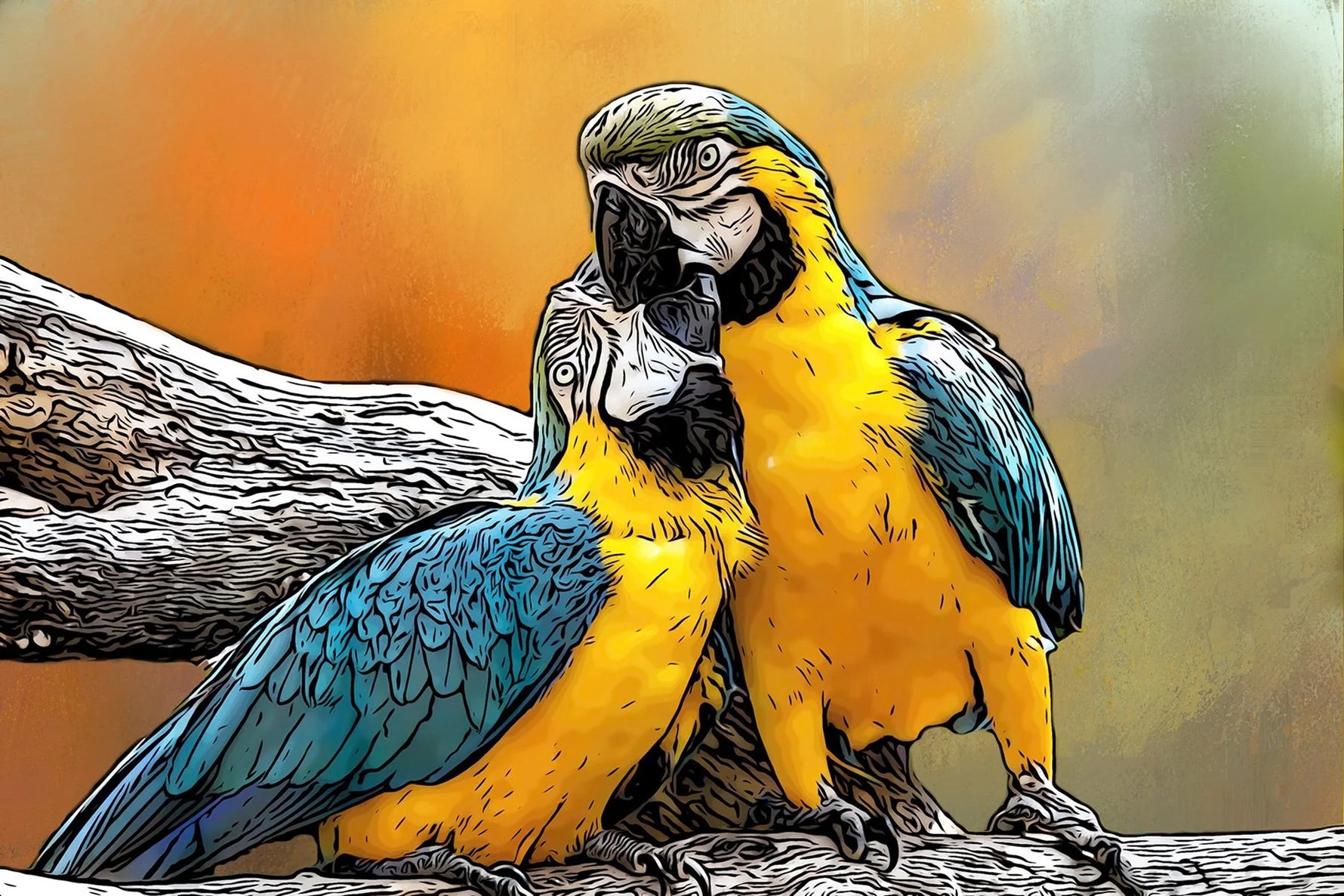 Loving Macaws 24x16in Panel