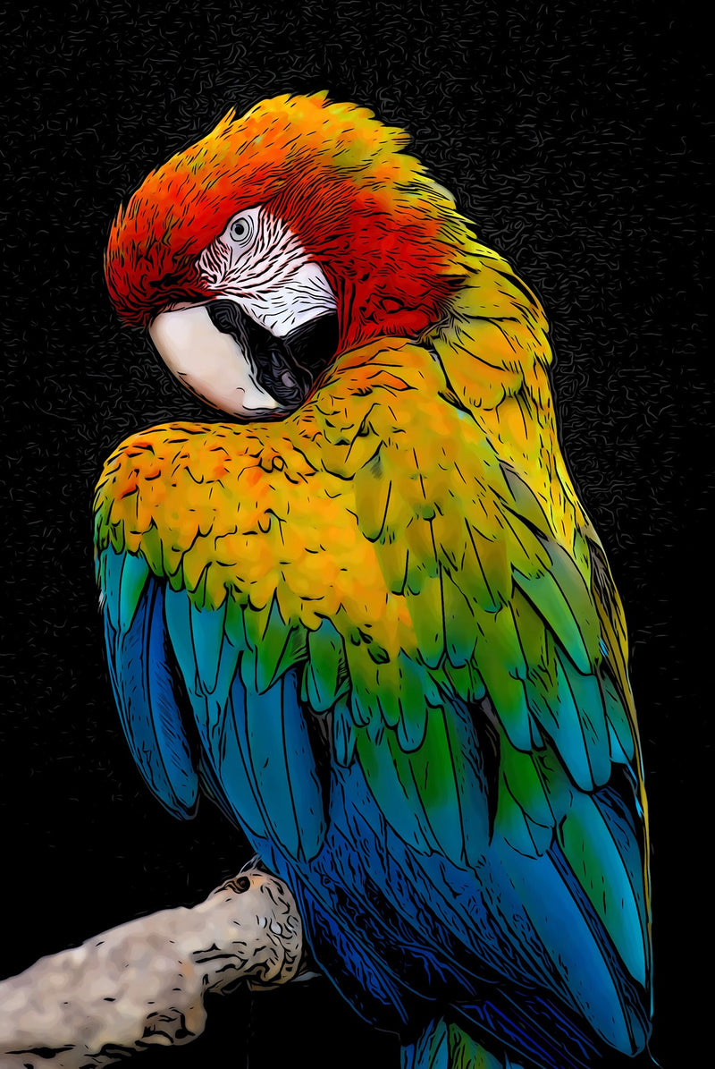 Colorful Parrot 16x24in Panel
