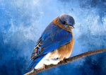 Brilliant Bluebird Panel 24.75in x 16.675in