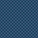 Gingham Oxford Blue fabric swatch