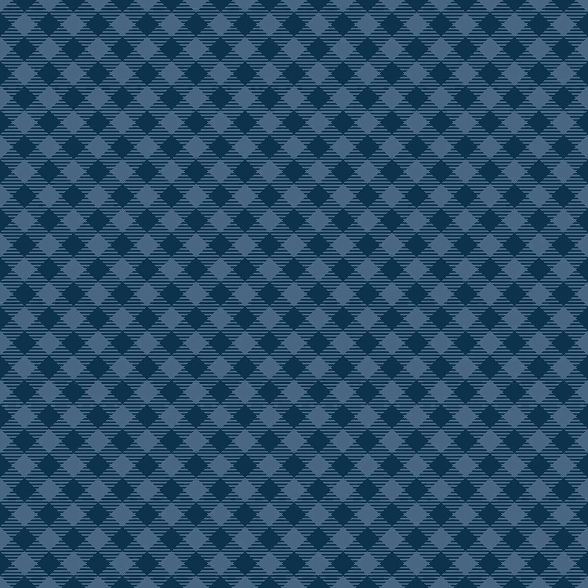 Gingham Oxford Blue fabric swatch