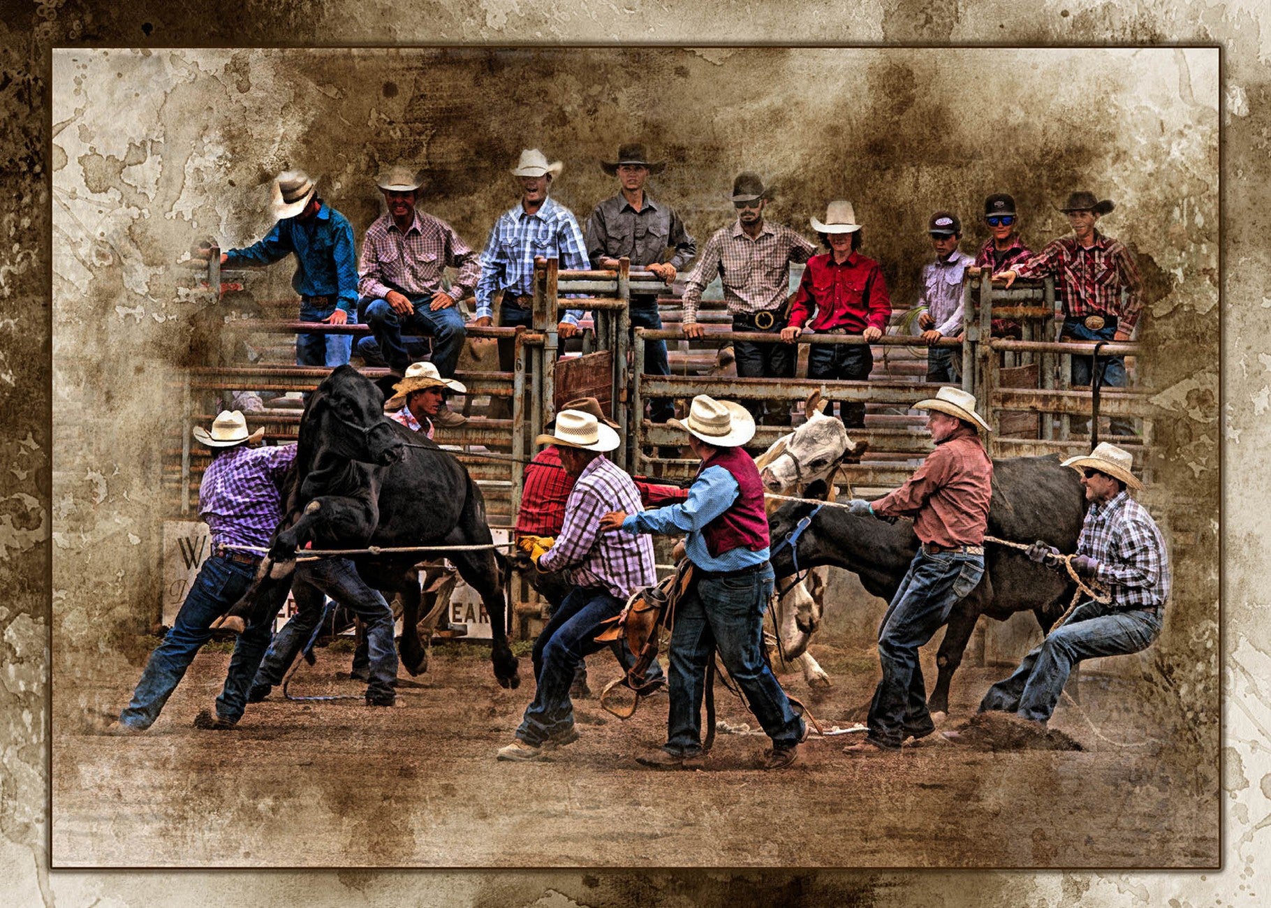 Ranch Rodeo Chaos 21in x 15in