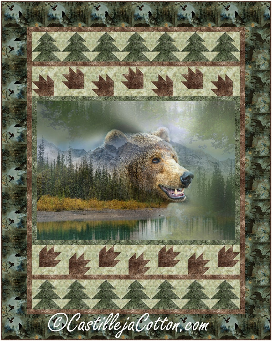 Bear in the Forest