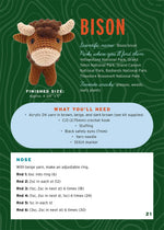 National Parks Crochet Kit
