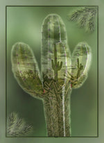 Cactus within a Cactus Panel 16in x 22in