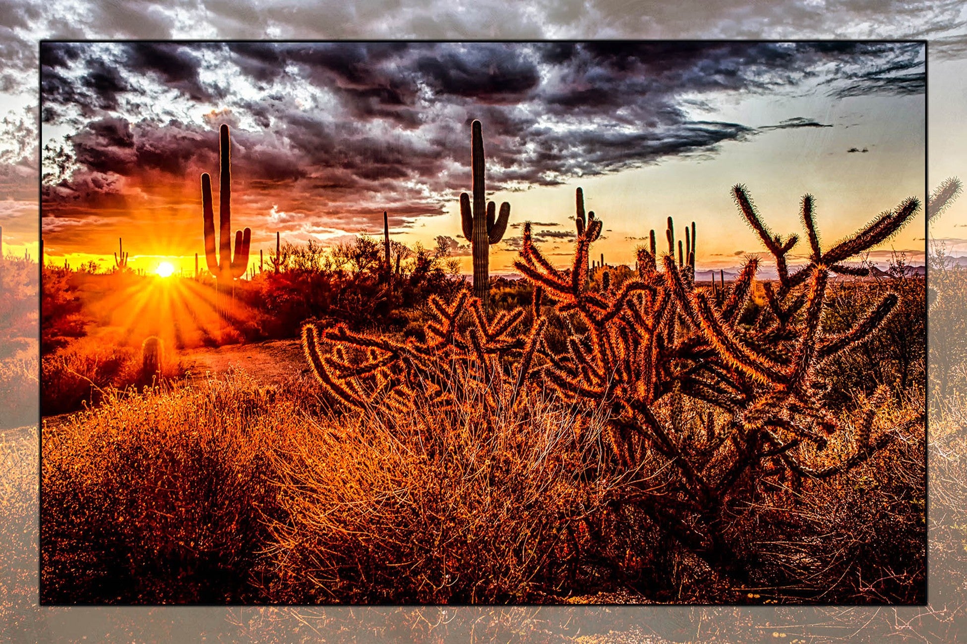 Cactus Sunset 24in x 16in
