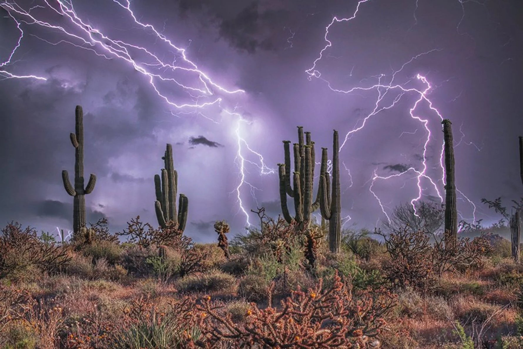 Desert Monsoon Panel 24in x 16in