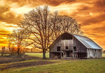 Sunset Barn Panel 20in x 14in