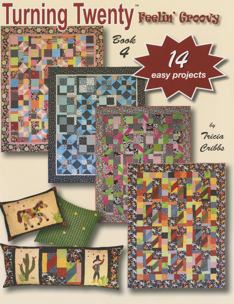 Turning Twenty Feelin Groovy Book 4