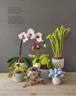 Crocheted Houseplants