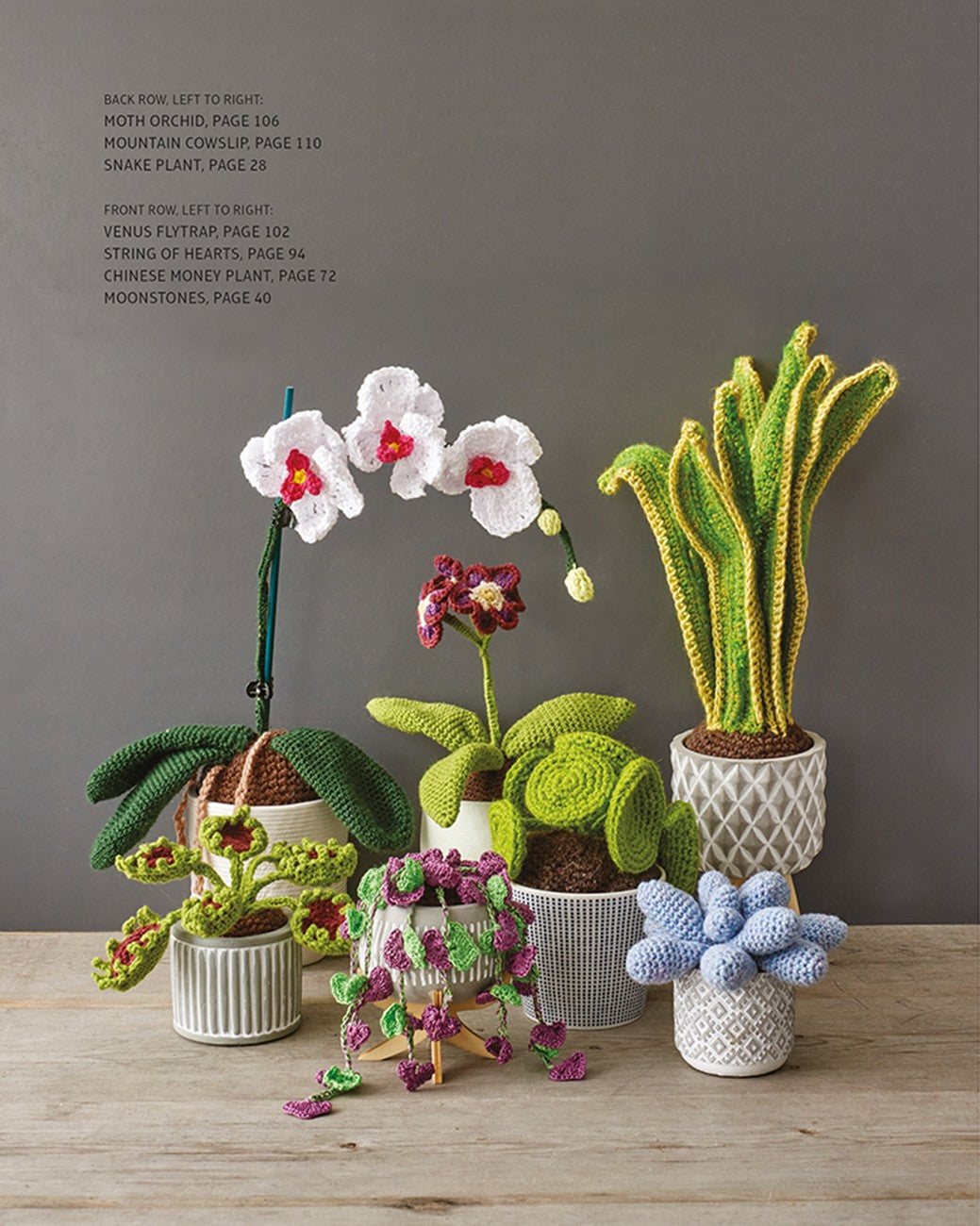 Crocheted Houseplants