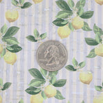 Lemon Stripe Cork 1/2 yard