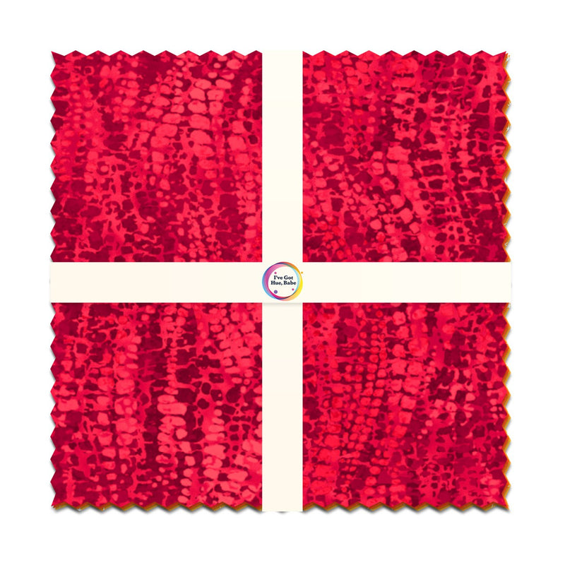 10in Squares I've Got Hue Babe Key Yest, 42pcs/bundle