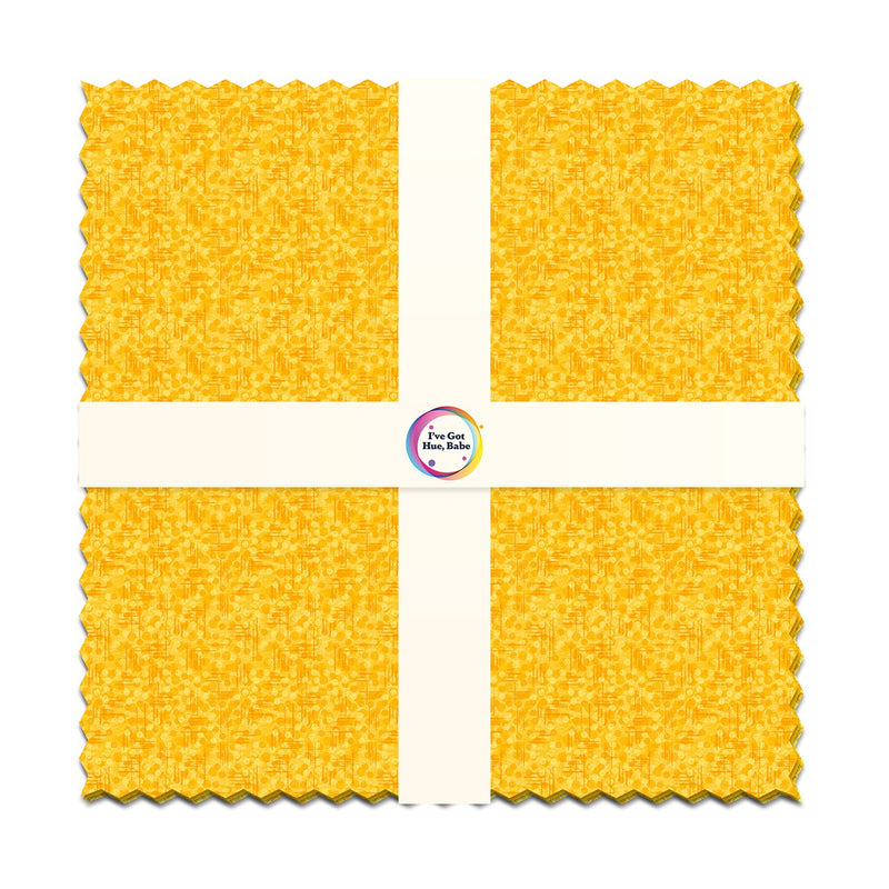 10in Squares, I've Got Hue, Babe, 42pcs/bundle