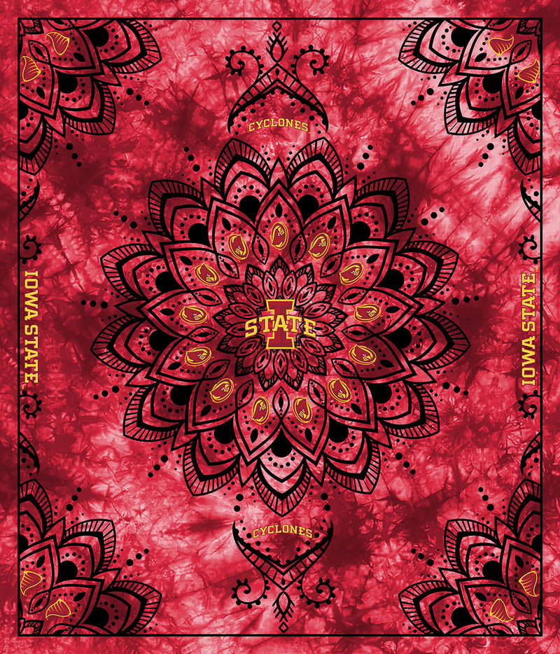 Iowa State Collegiate Tapestry-48in x 56in