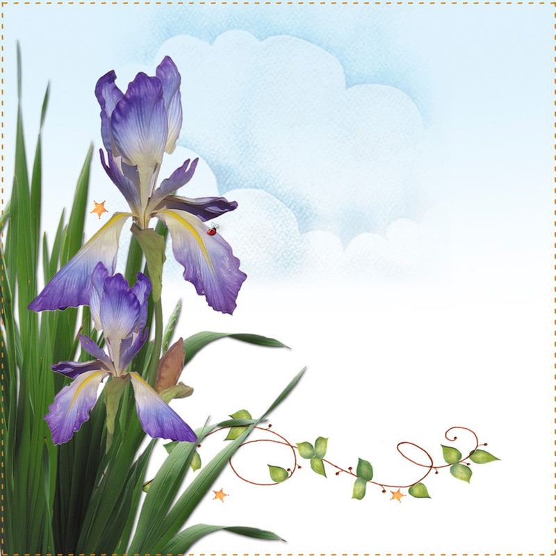 Quilt Label Iris 2 per pack