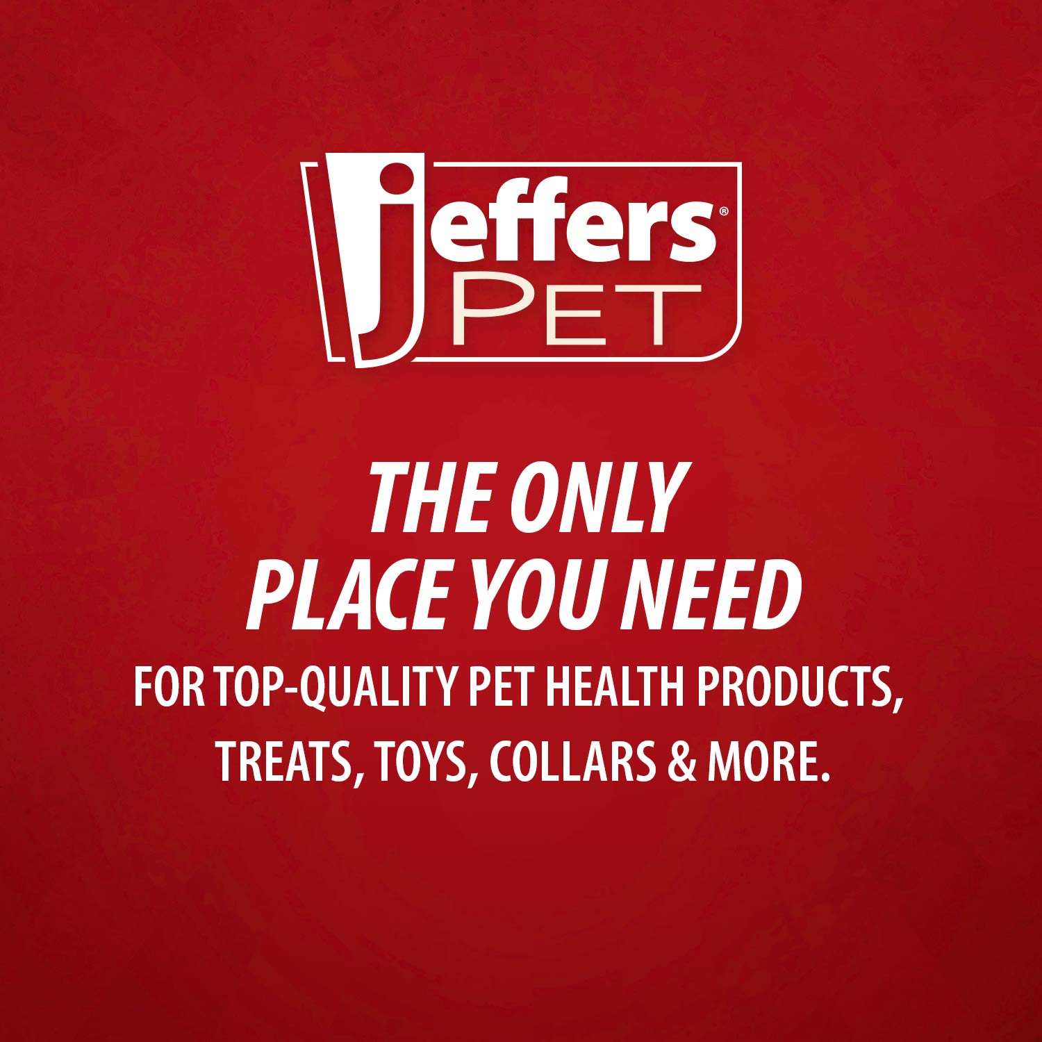 Jeffers Hollow Red Knobby Ball Natural Rubber Dental Treat Dispensing Dog Chew Toy