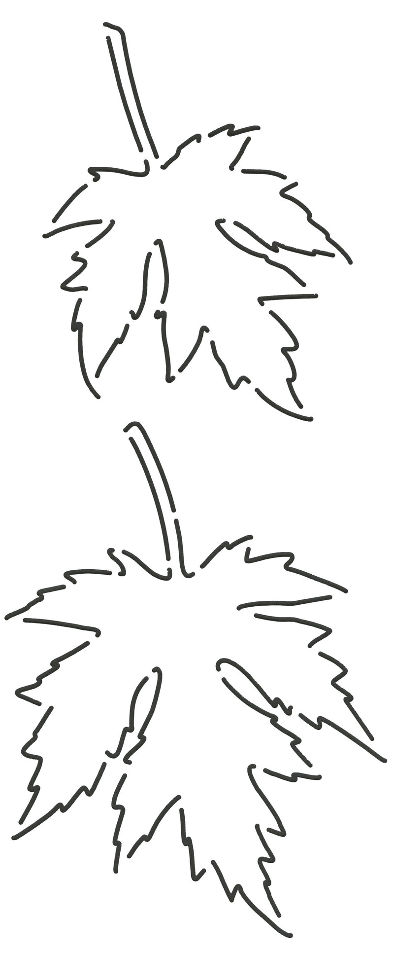 Stencil - Maple Leaf