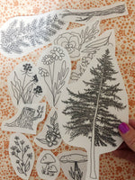 Forest Forage Stick & Stitch