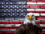 American Pride Panel 25in x 18.5in