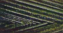 Swirls Maxi-Lock Polyester Serger Thread 50wt 3000yds Variegated Foresty Mint