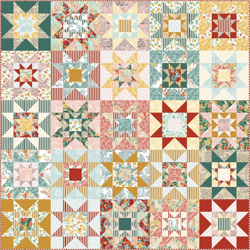 Montgomery Stars Kit