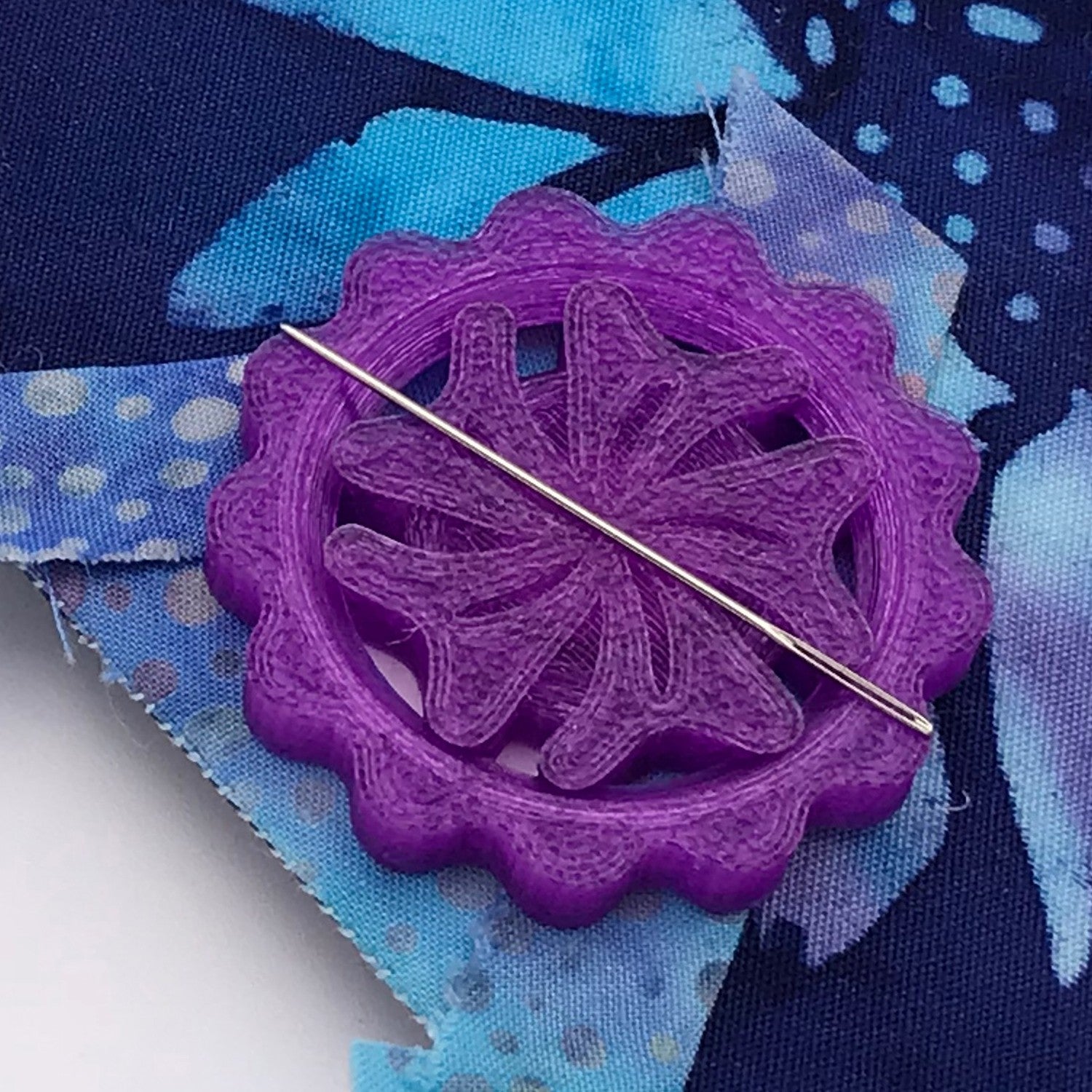 Needle Minder Orchid