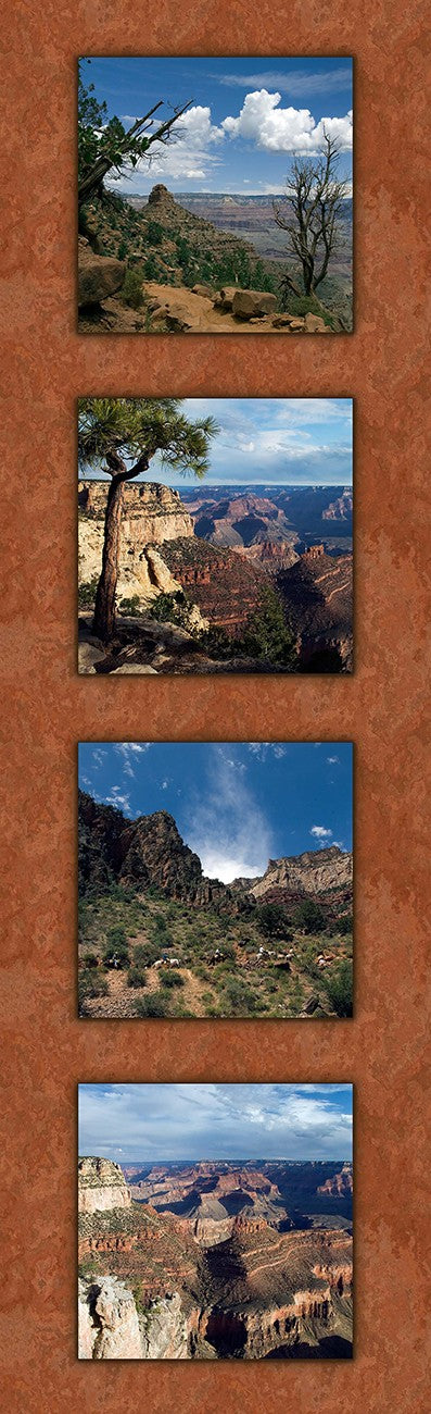 Grand Canyon 4 Vertical 11in x 35.5in