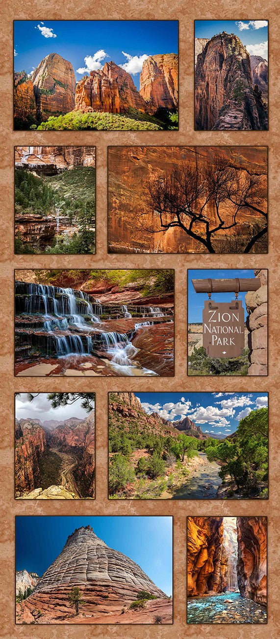 Zion National Park Composite 18in x 41in