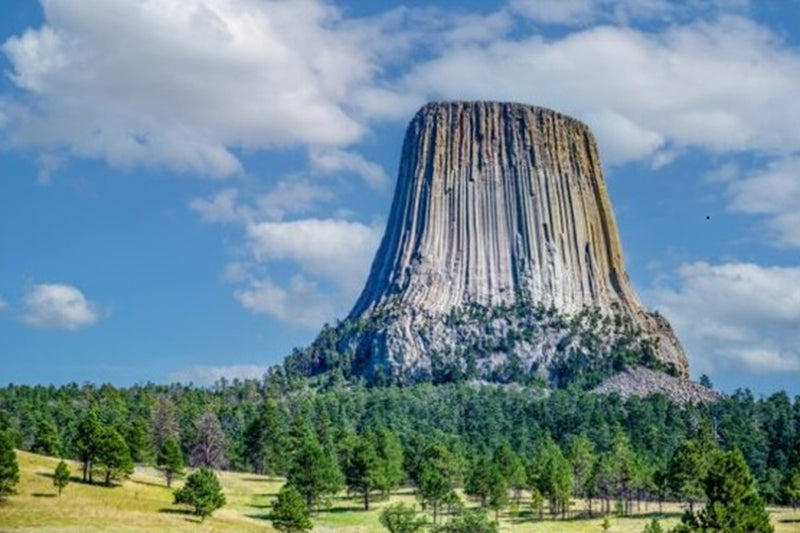 Devils Tower Panel 22in x 14.5in