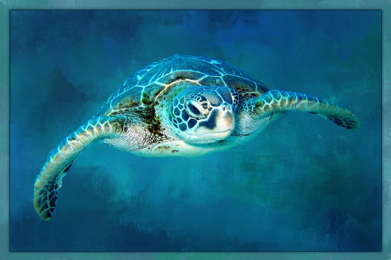 Underwater Sea Turtle Panel 20in x 13in
